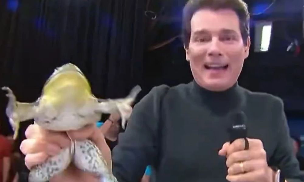 Celso Portiolli no SBT