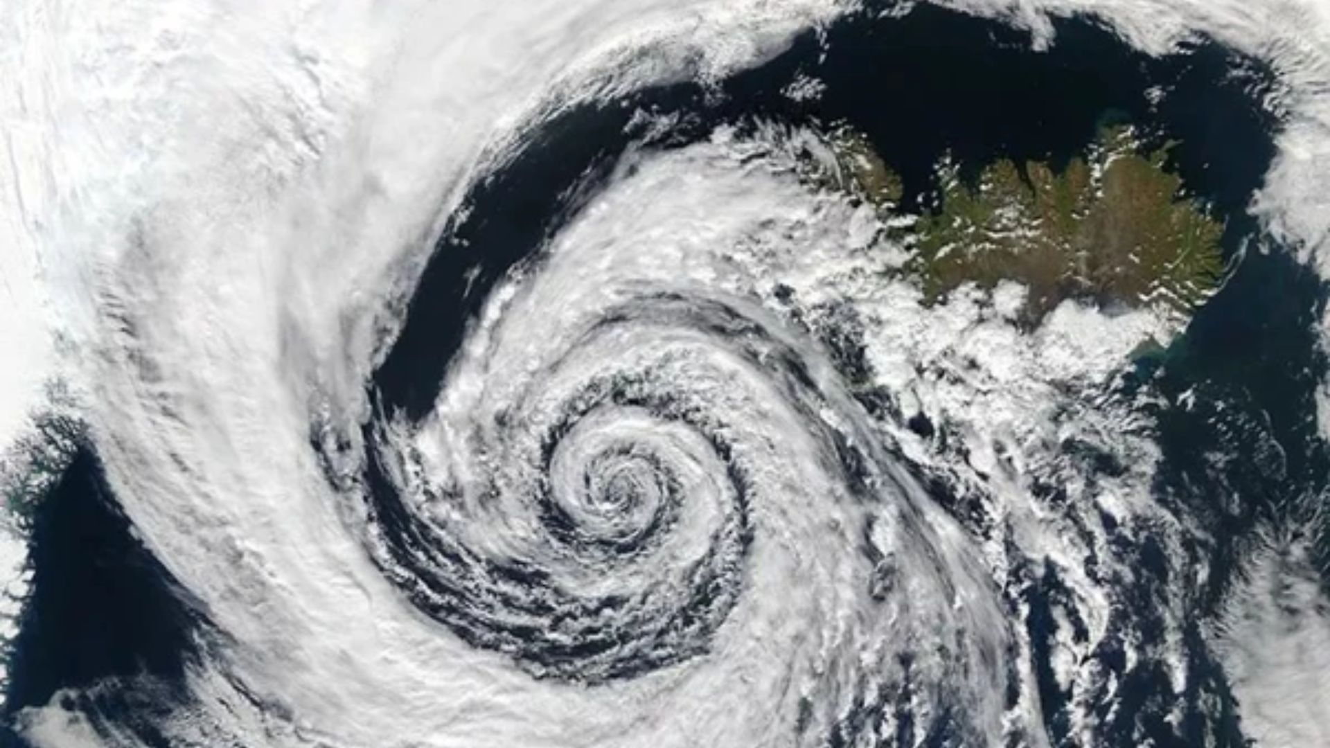 Reprodução / Wikimedia commons