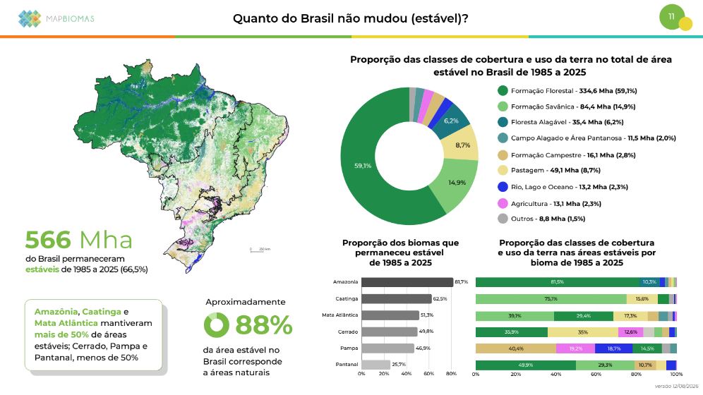 Reprodução / MapBiomas Alerta