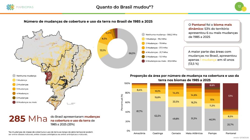 Reprodução / MapBiomas Alerta