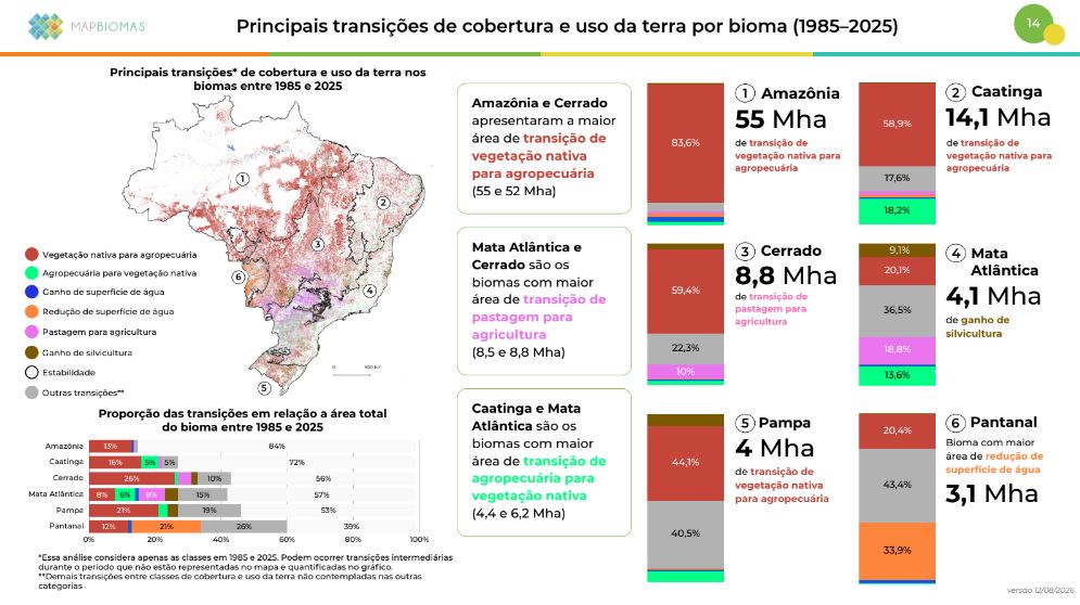 Reprodução / MapBiomas Alerta