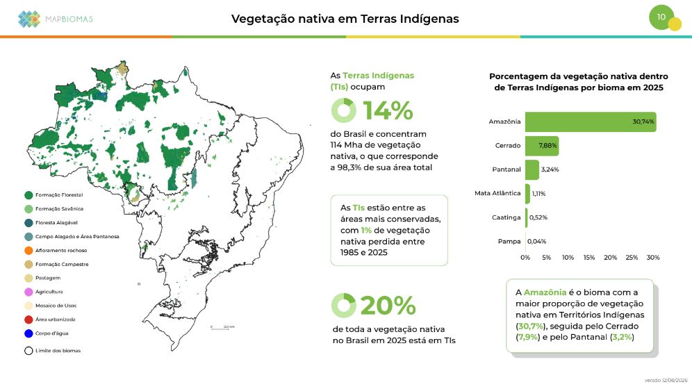 Reprodução / MapBiomas Alerta