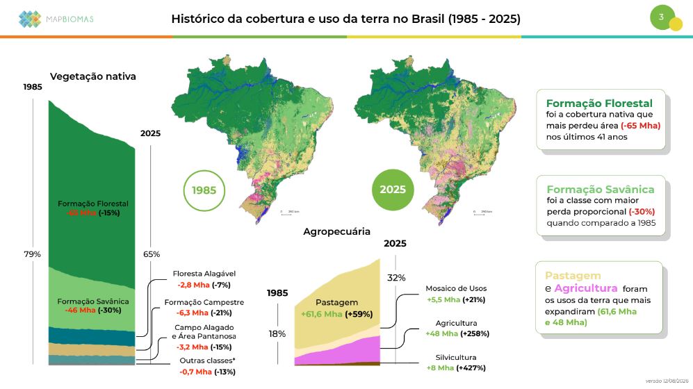 Reprodução - MapBiomas Alerta