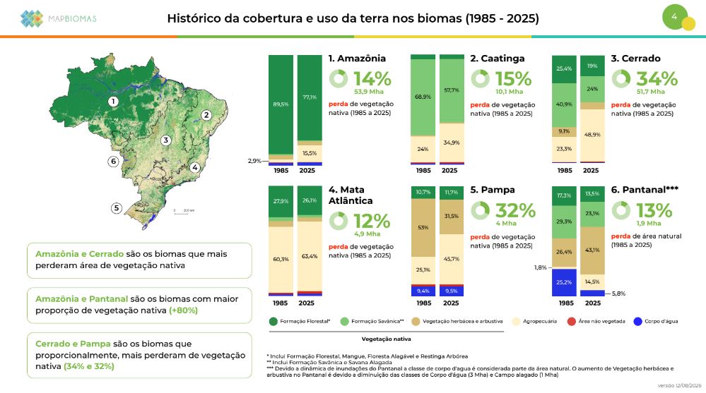 Reprodução - MapBiomas Alerta