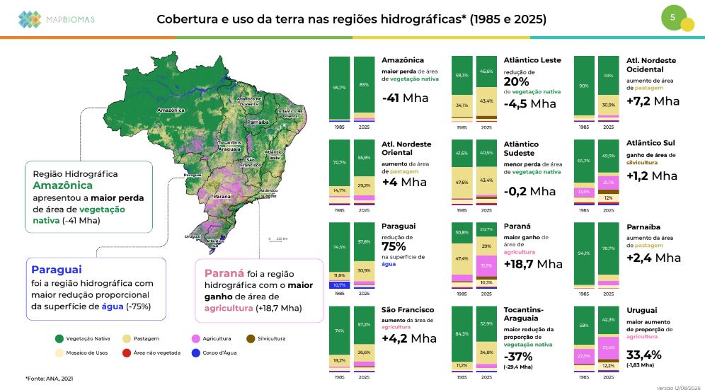 Reprodução - MapBiomas Alerta