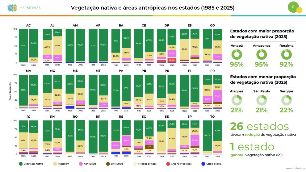 Reprodução - MapBiomas Alerta