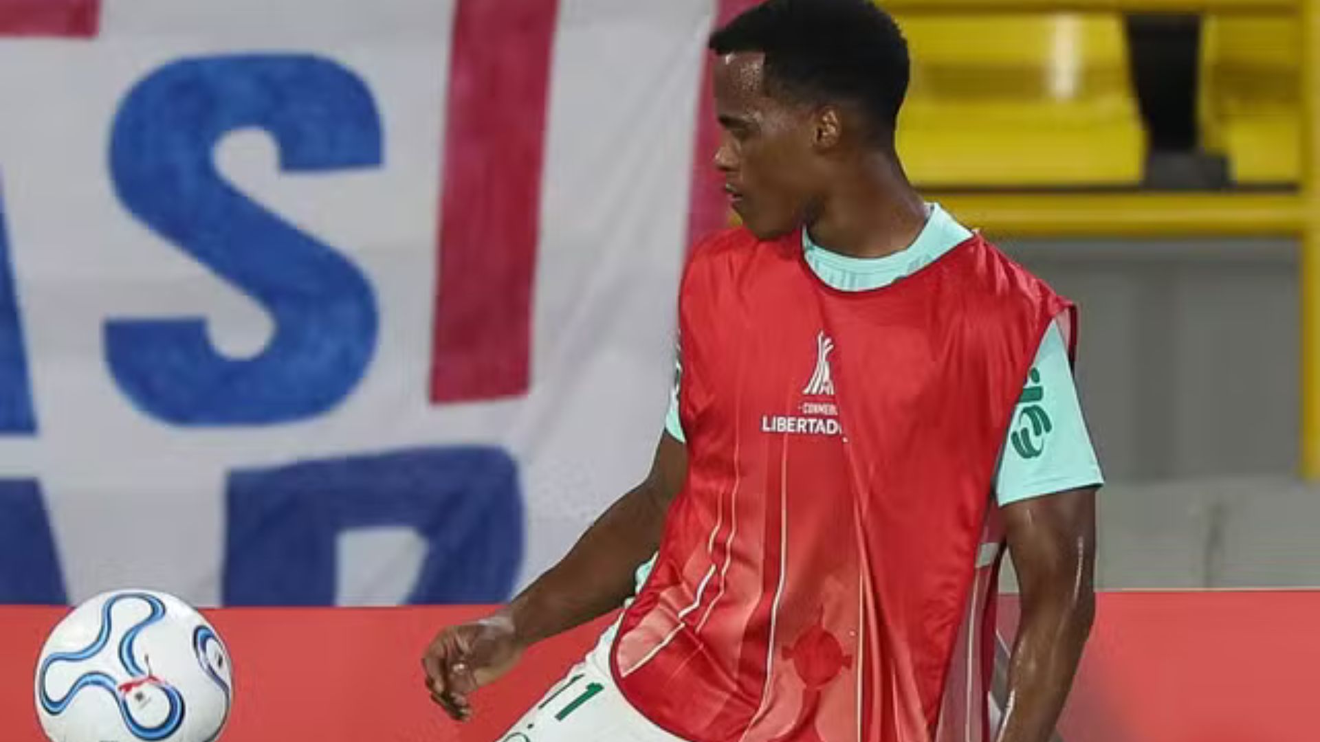 Divulgação/Palmeiras