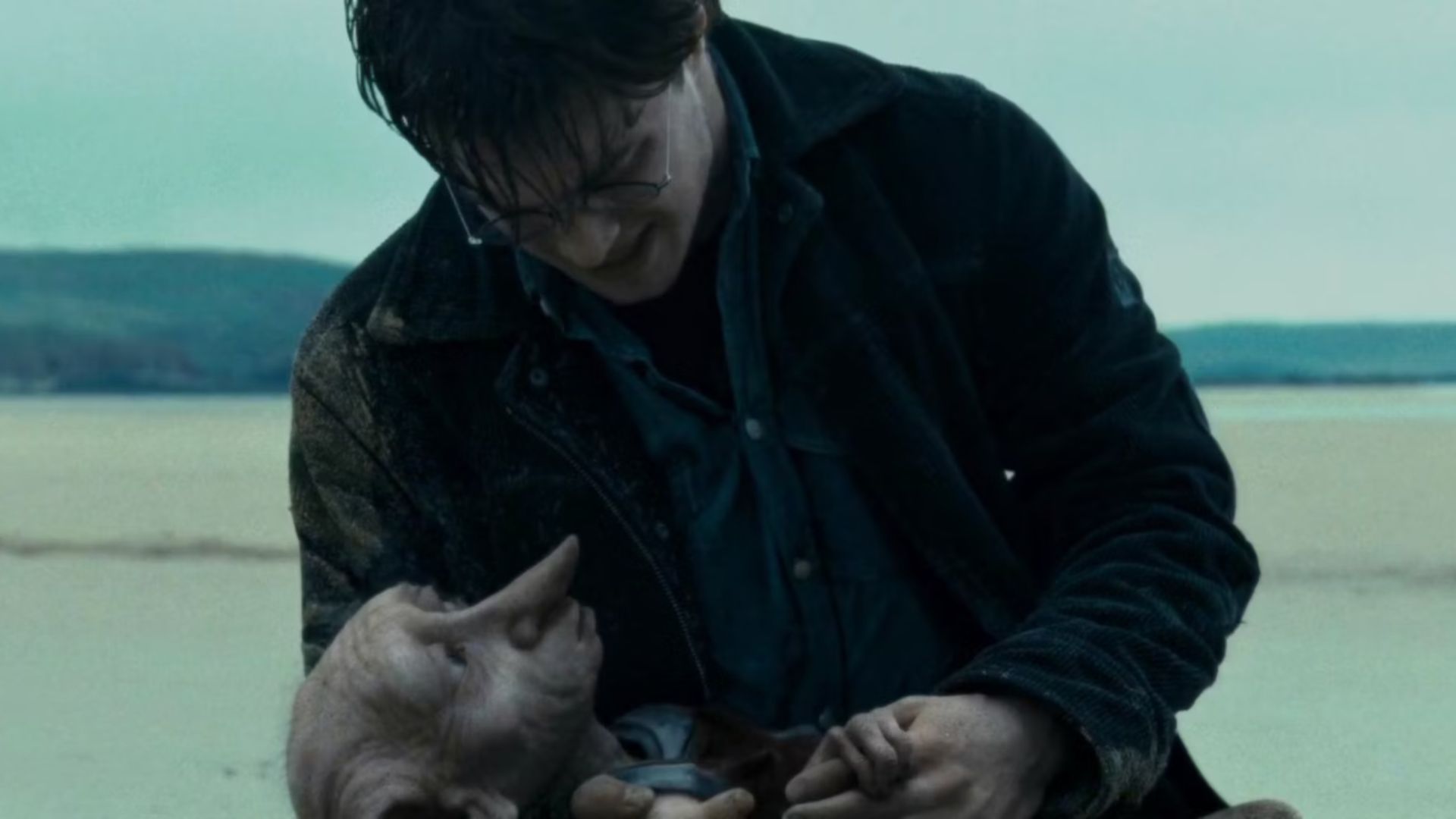 dobby