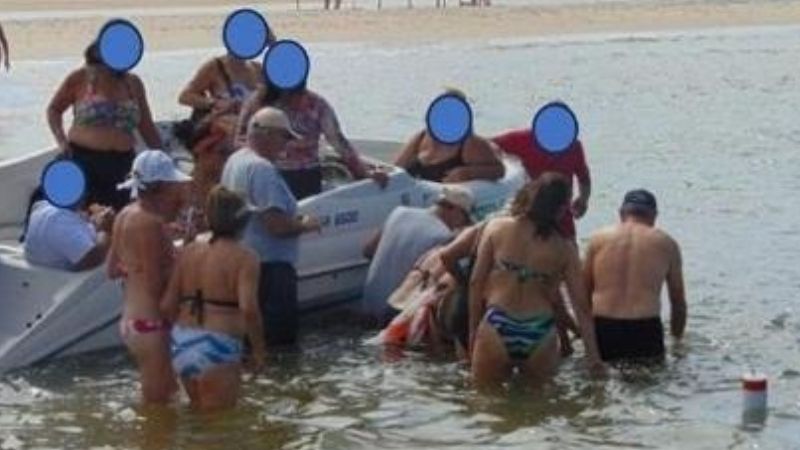  Após 34 atropelamentos, peixe-boi famoso escapa da morte - Foto: FMA/Divulgação