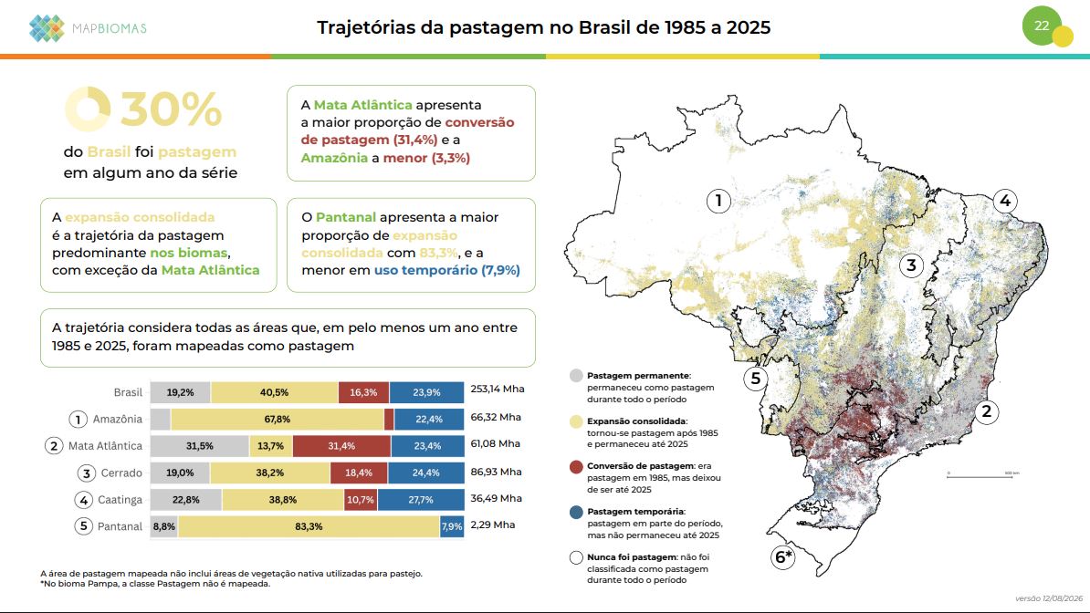 Reprodução / MapBiomas Alerta