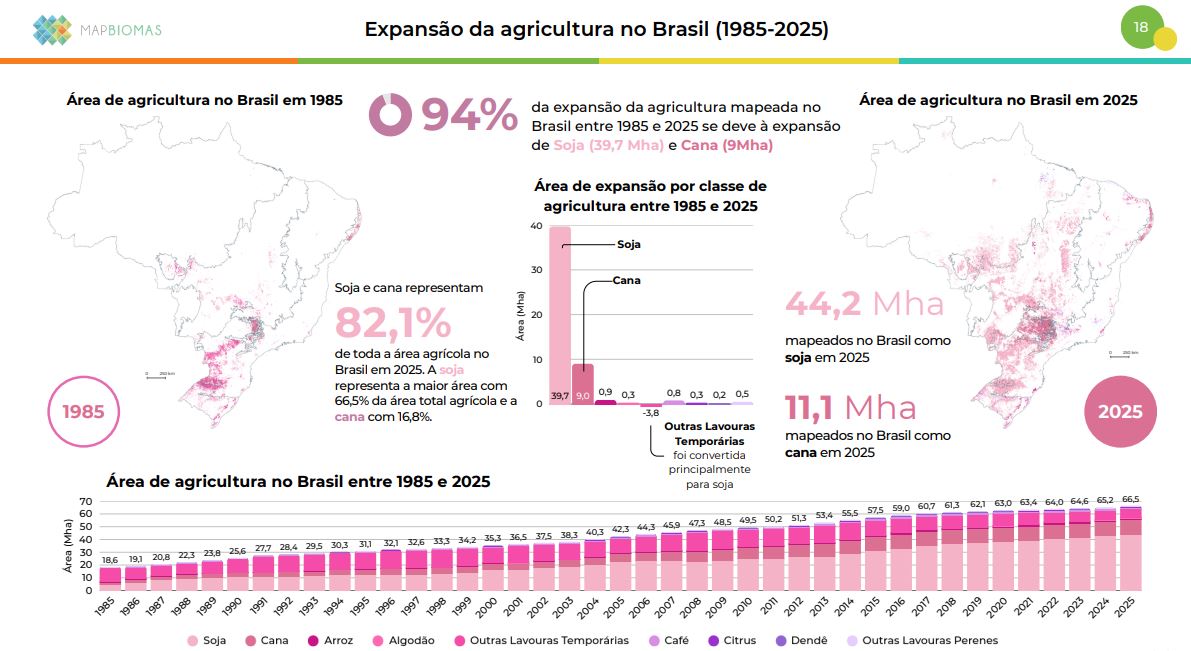 Reprodução / MapBiomas Alerta