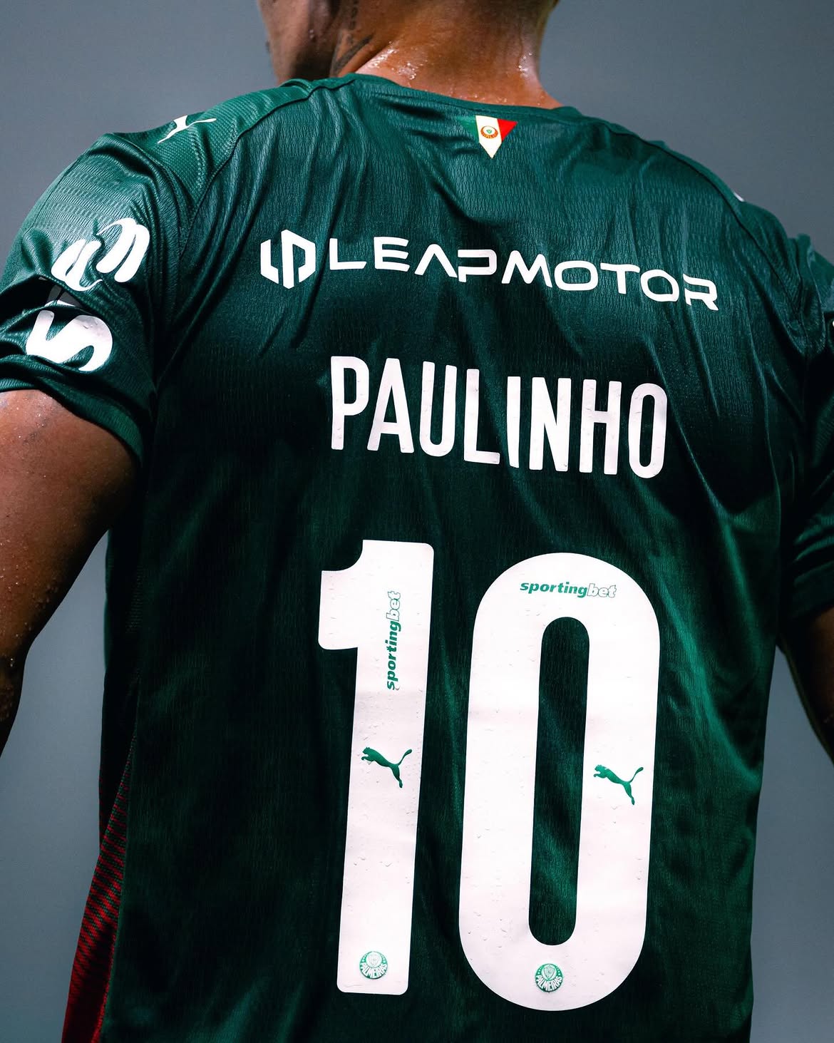 Reprodução/Instagram @paulinho10