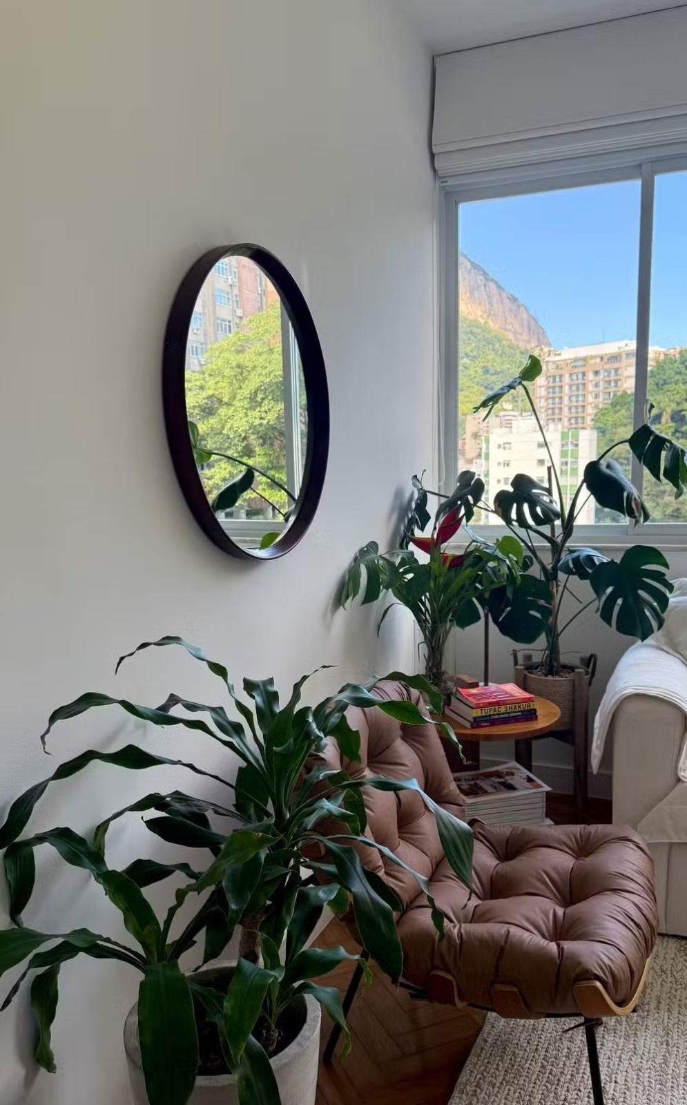 Apartamento de Clara Buarque