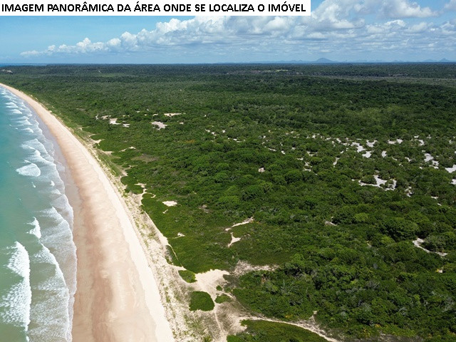 Fazenda Itaquena, no sul da Bahia | Divulgação/Leilões judiciais