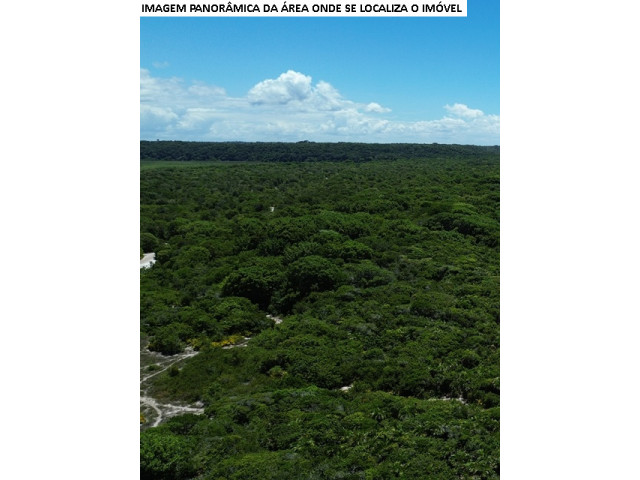 Fazenda Itaquena, no sul da Bahia | Divulgação/Leilões judiciais