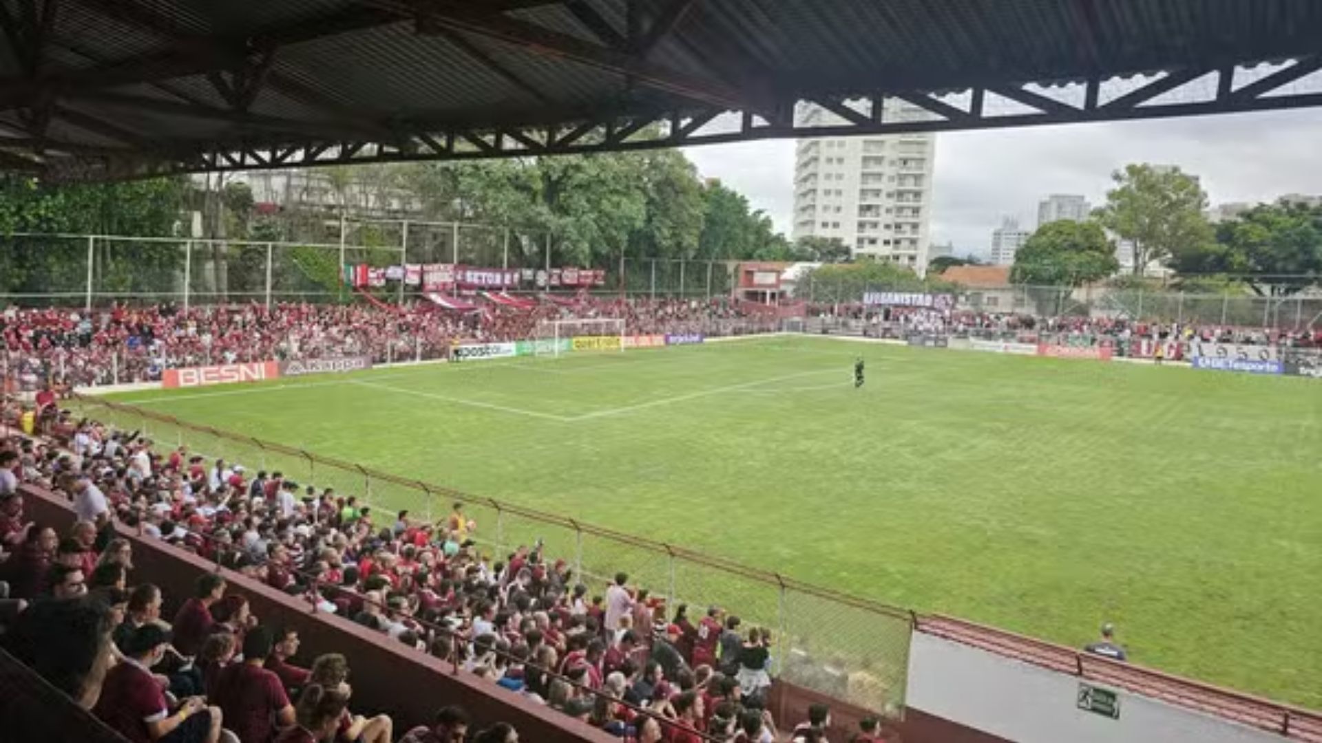  Rua Javari