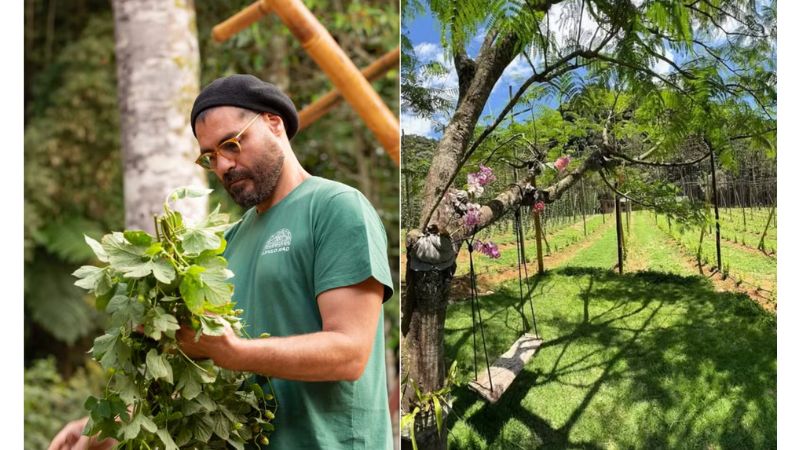 Longe da TV, Vanessa Lóes investe em fazenda e cerveja artesanal - FOTO REPRODUÇÃO