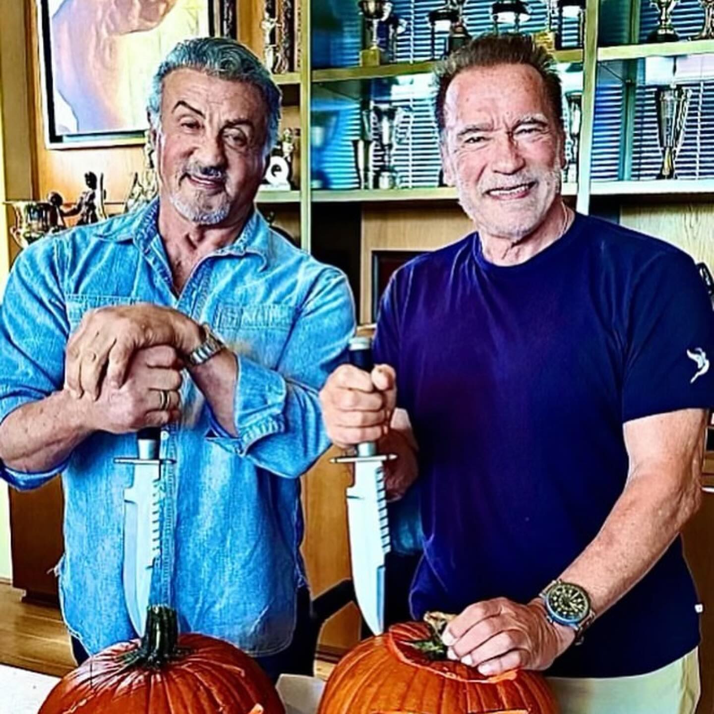 Arnold Schwarzenegger e Sylvester Stallone