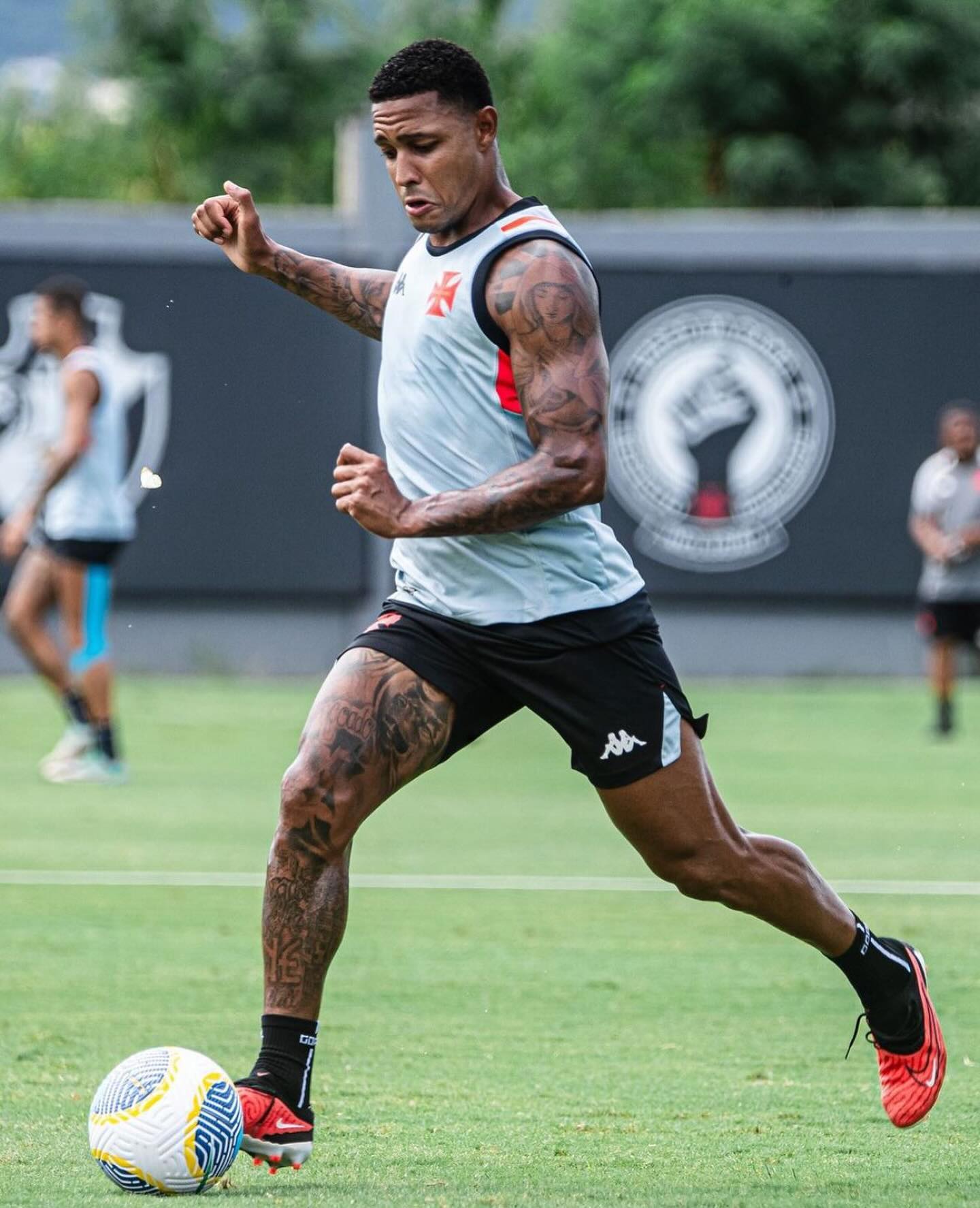 David Corrêa