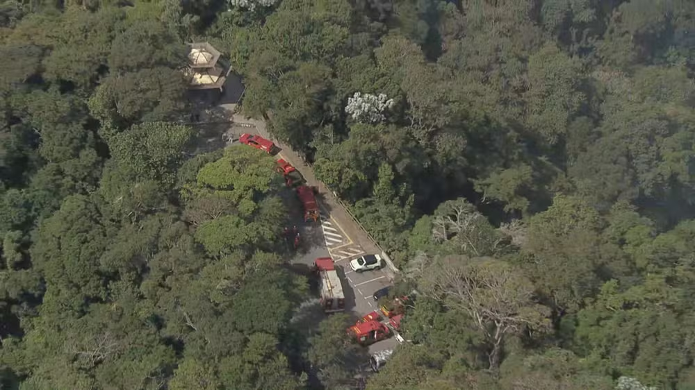 Reprodução TV Globo