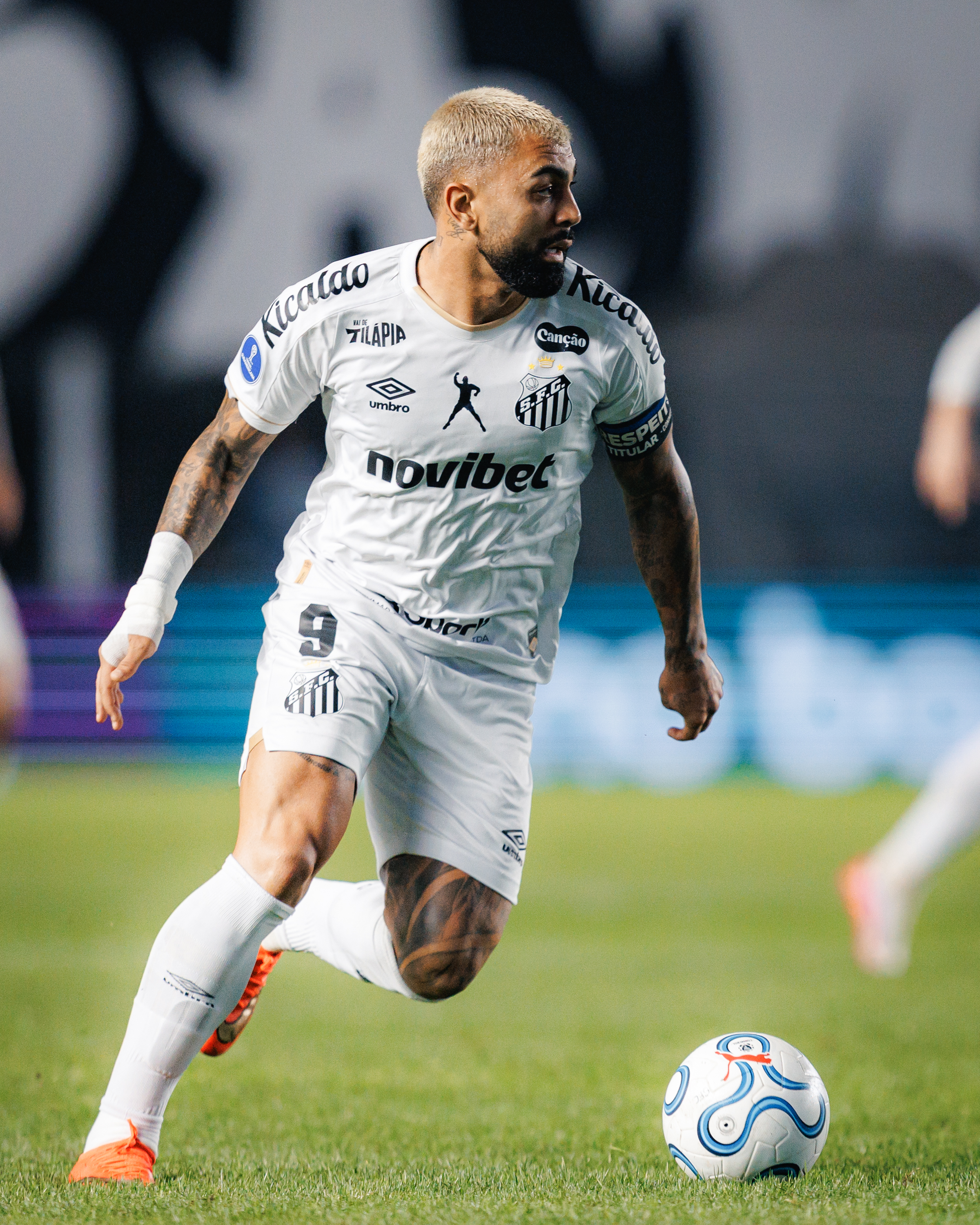 Raul Baretta/Santos FC