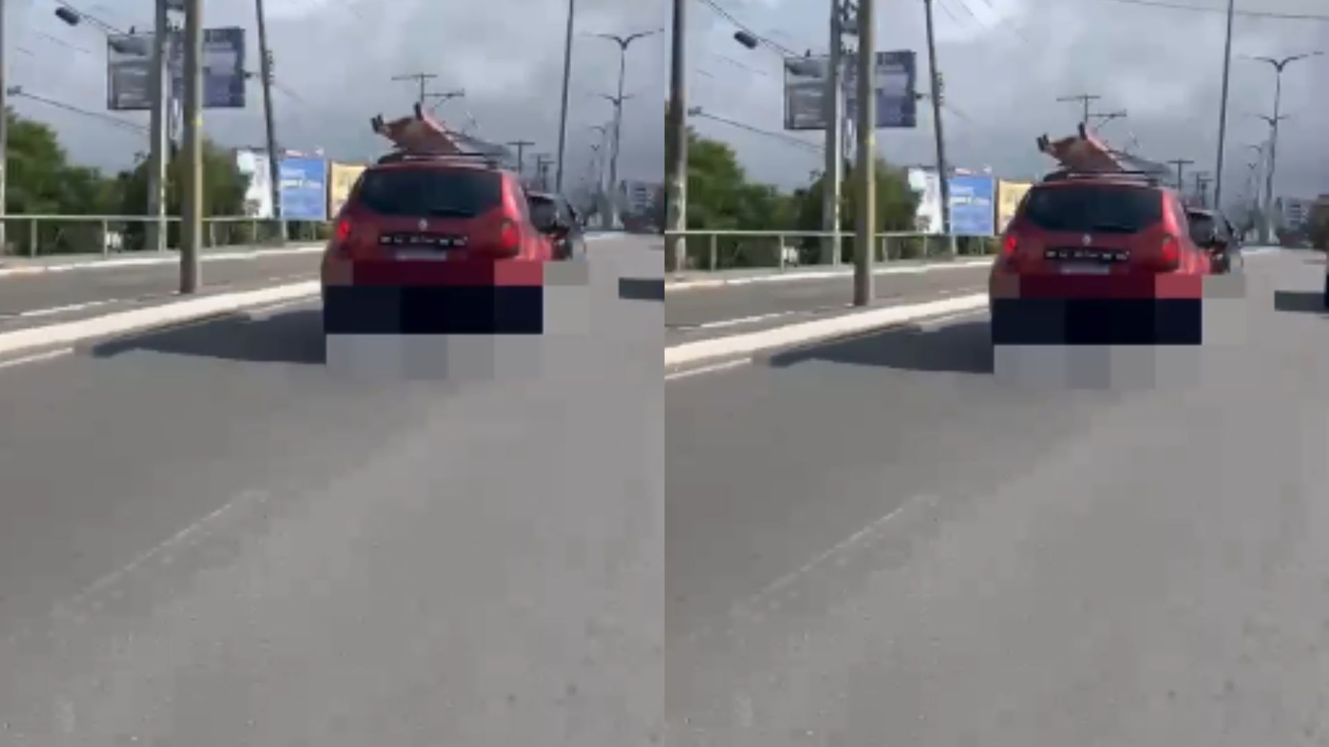 Motorista dispara em alta velocidade e assusta motociclistas antes de bater na Estrada do Coco: “Vai matar o povo!” - QTU Questões do Universo