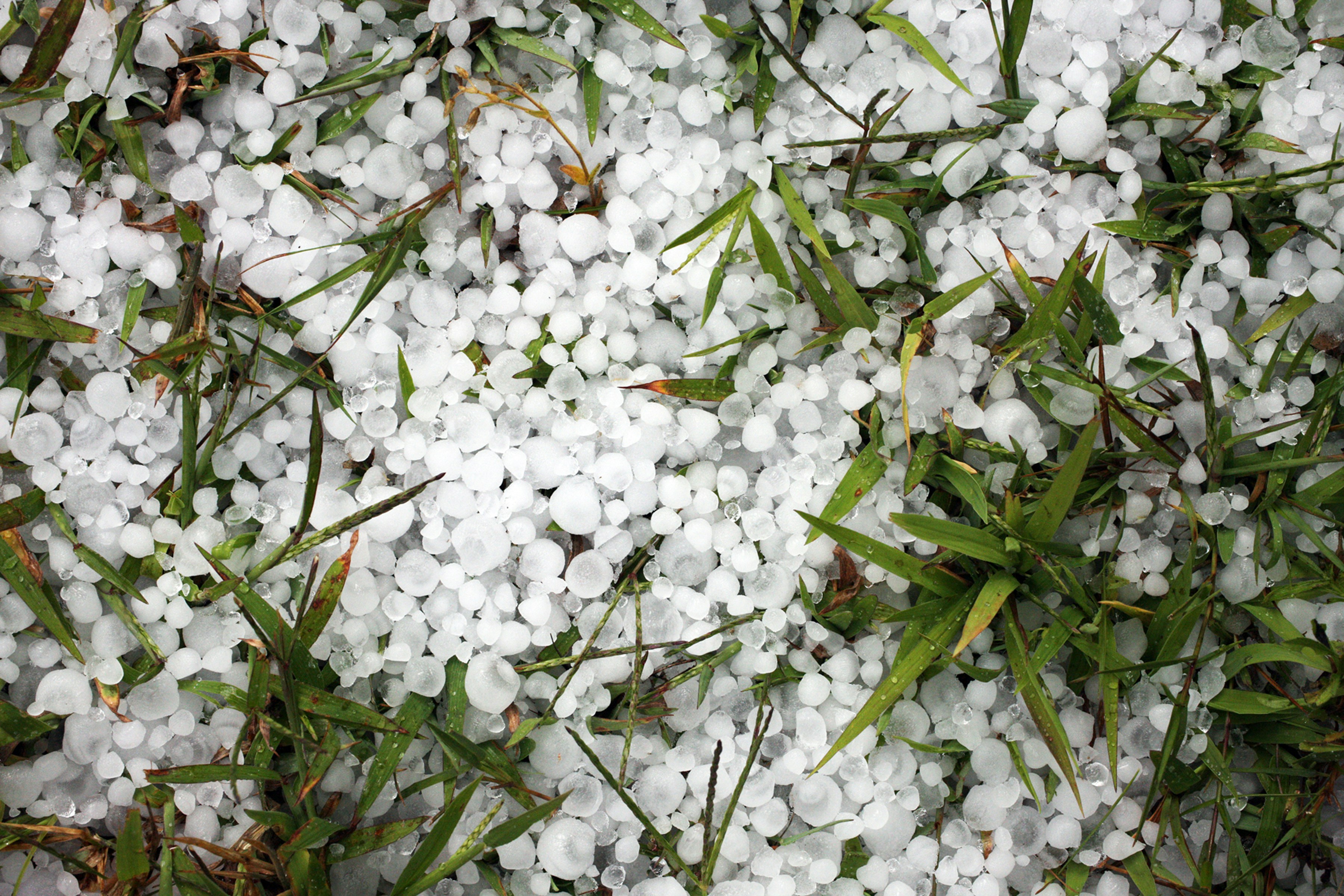 Chuva de Granizo | Reprodução/Unsplash