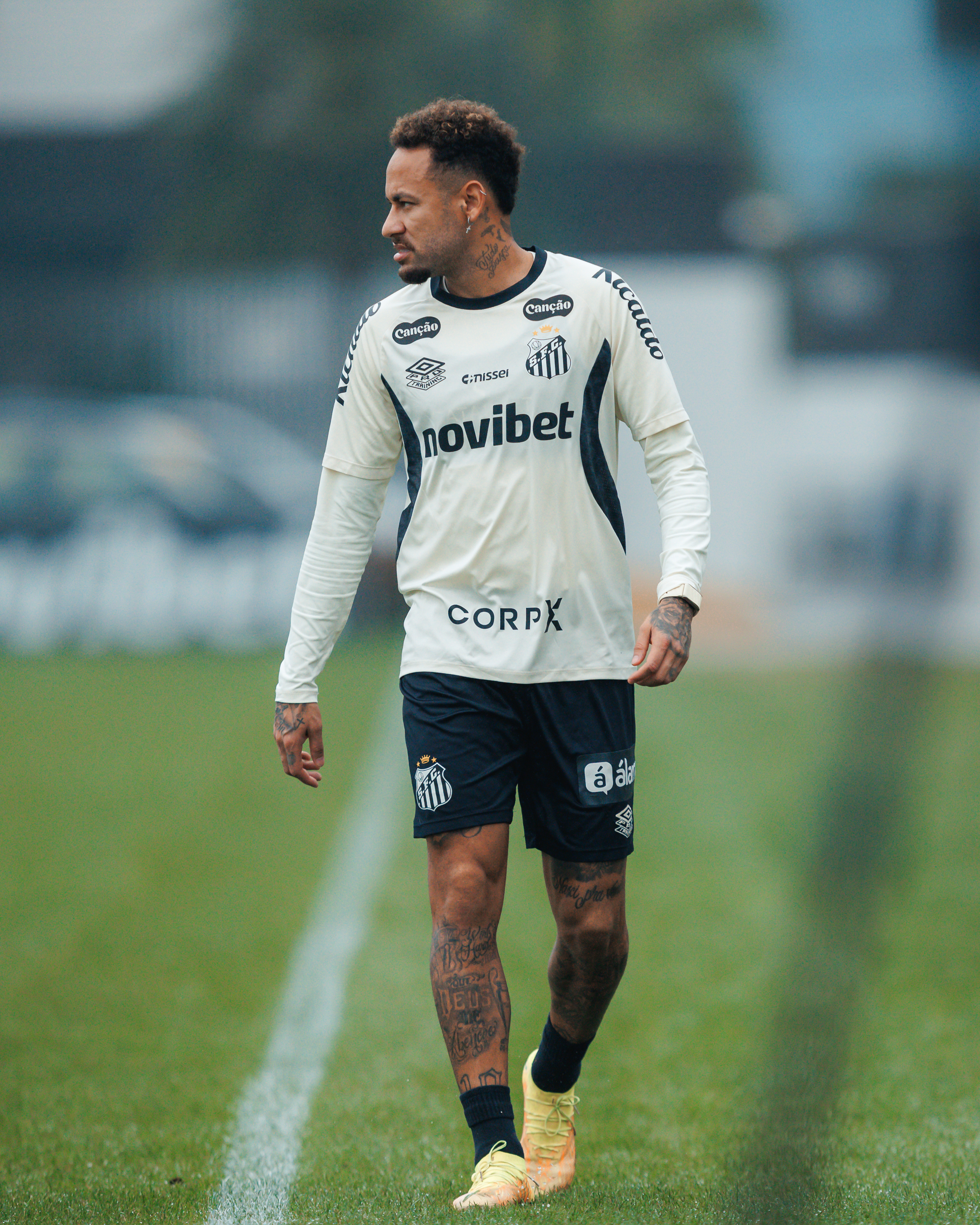 Raul Baretta/Santos FC