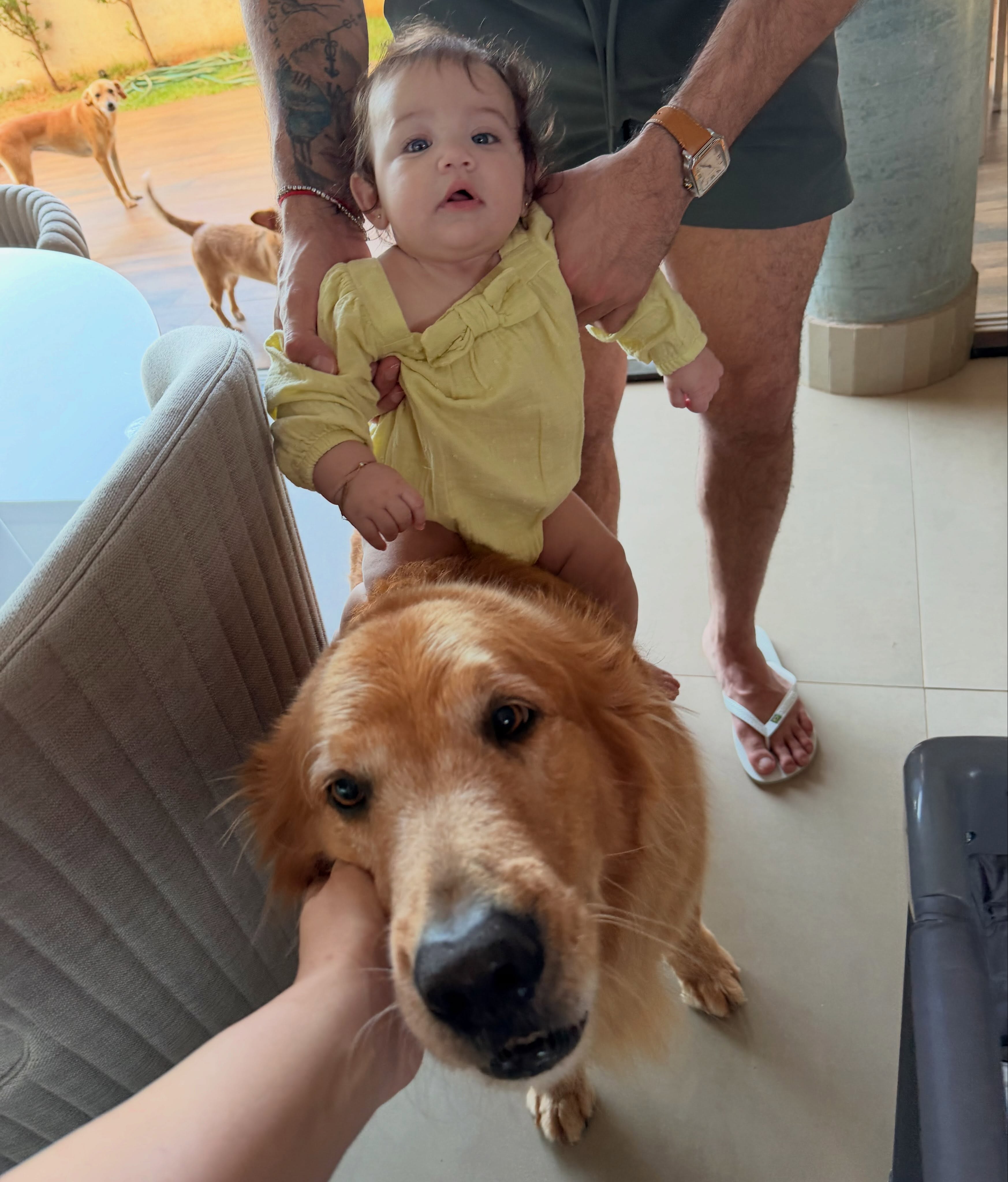 Foto: Reprodução /  redes sociais