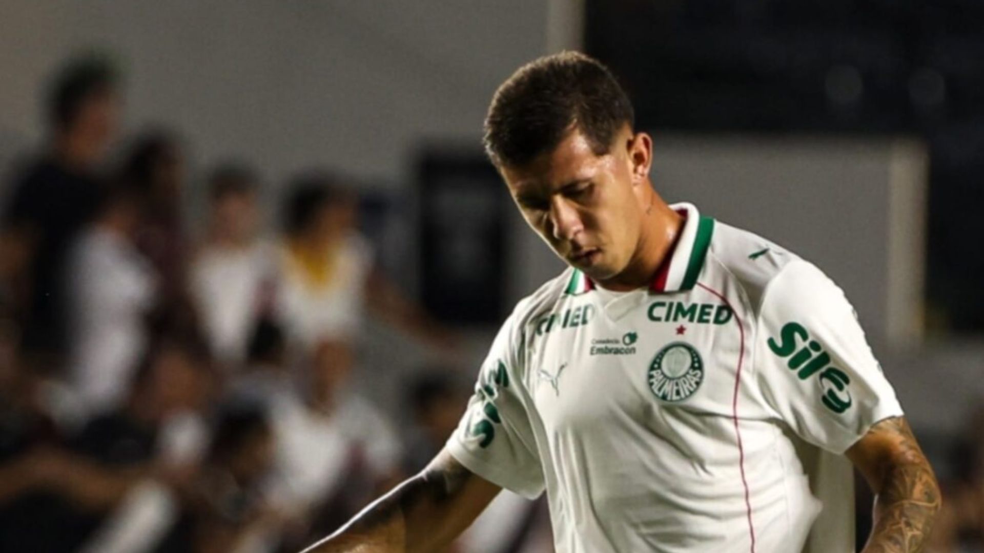 Felipe Tereza - Foto: Divulgação / Palmeiras