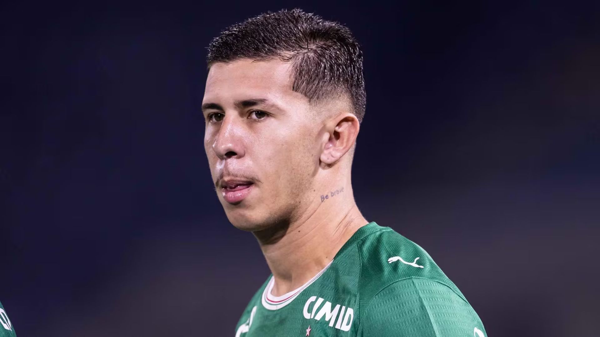 Felipe Tereza - Foto: Divulgação / Palmeiras