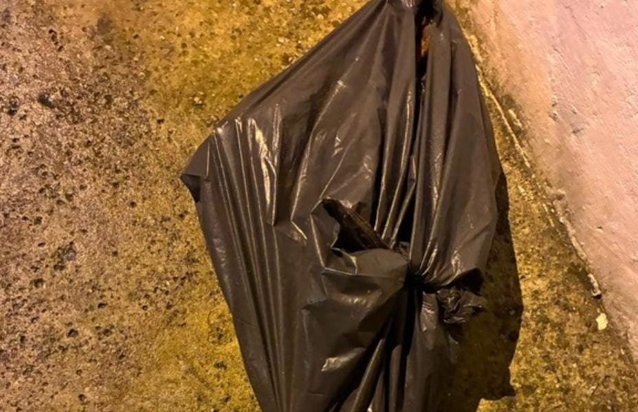Os restos mortais estavam dentro um saco plástico em frente à casa do suspeito - Imagem: Divulgação/Polícia Militar