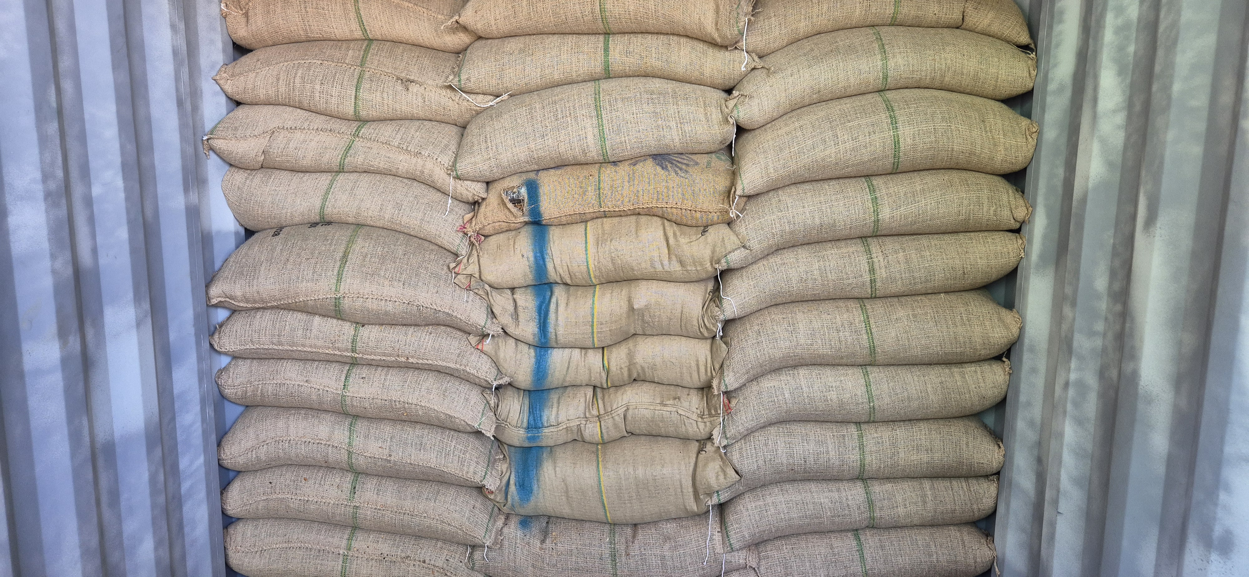 A droga estava oculta em um carregamento de 77 toneladas de café