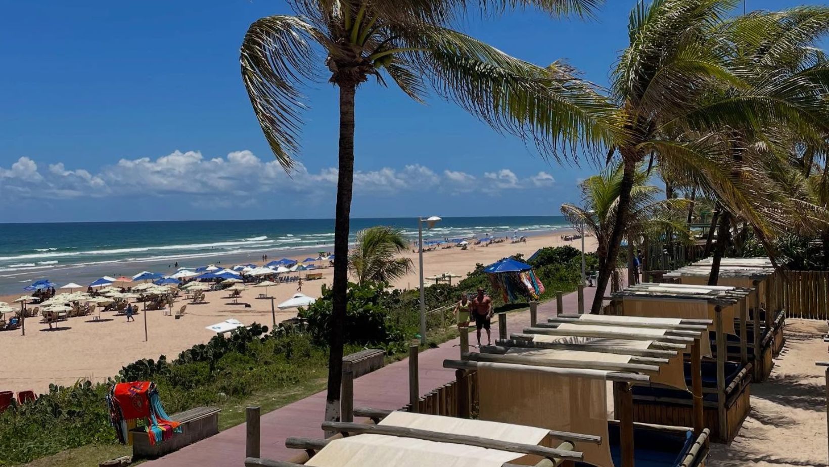 Praia do Flamengo – Reprodução/Redes Sociais (@pipa.beachclub)