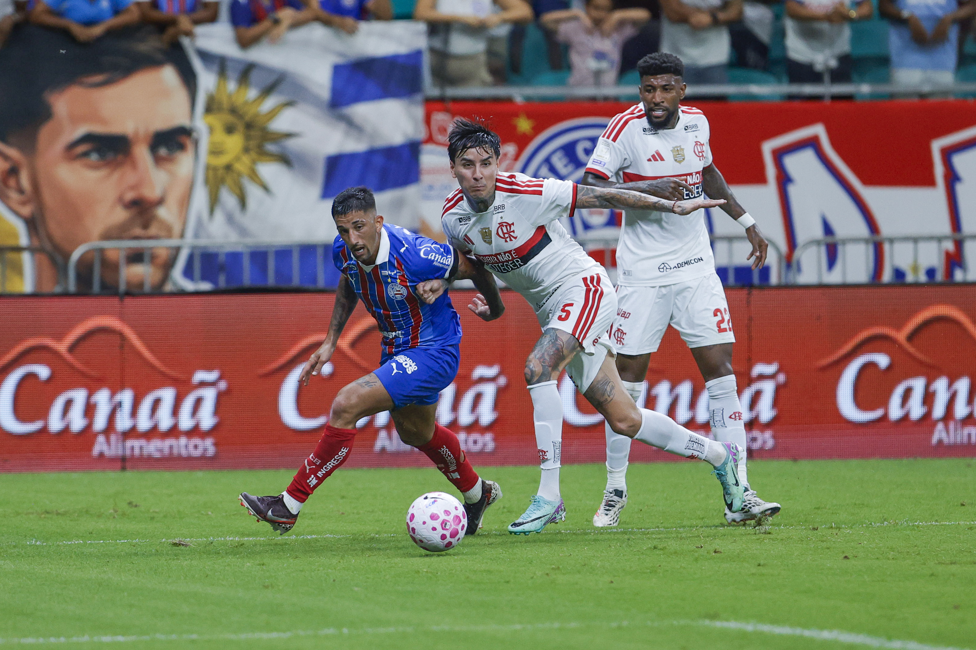 Bahia