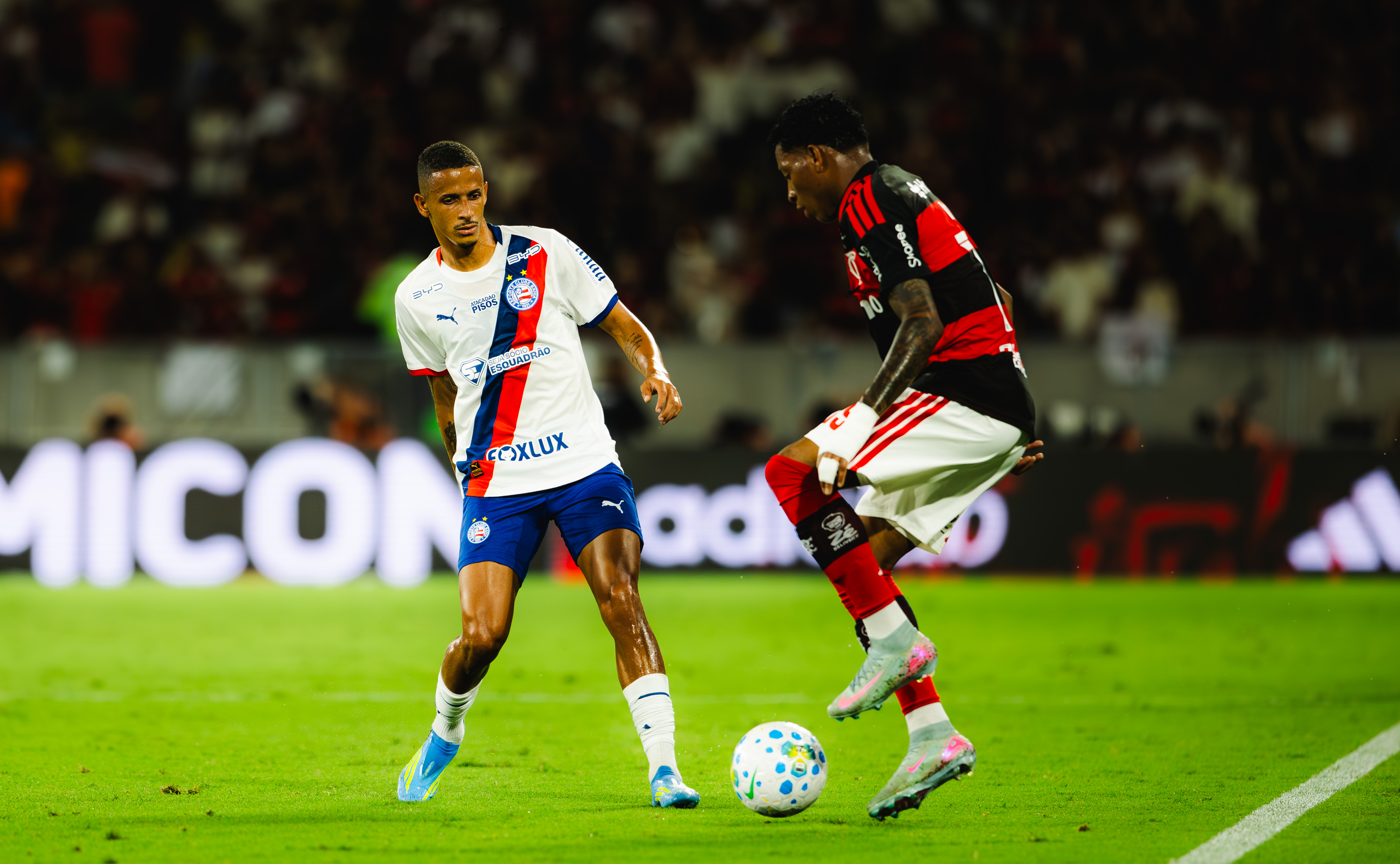 Bahia