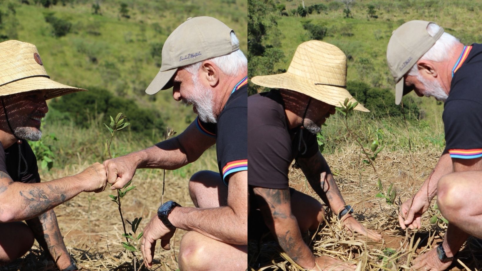 Uma semana após morte do pai, Bruno Gagliasso faz nova homenagem e relembra ensinamentos. Fotos: Redes sociais