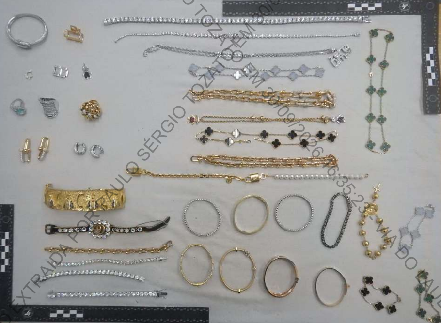  Laudo expõe detalhes de peças apreendidas de Deolane