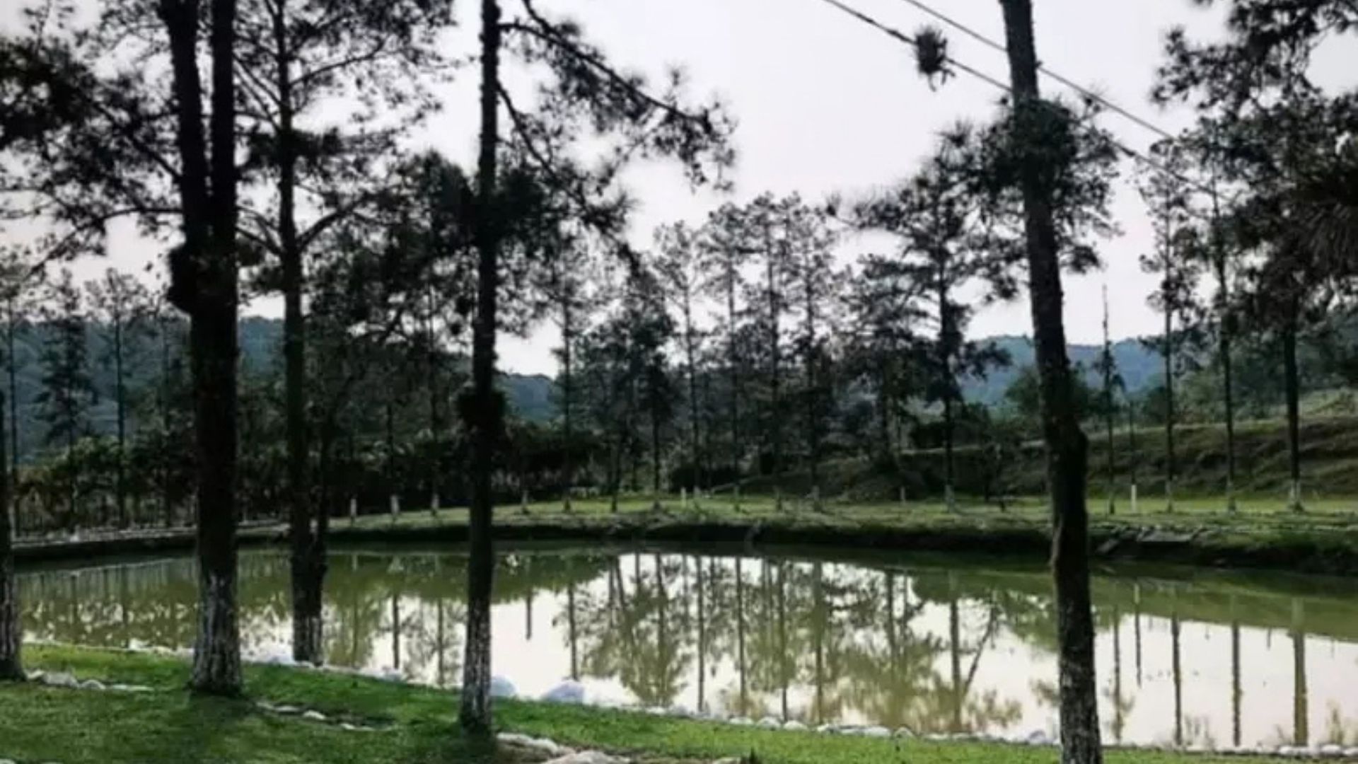 Divulgação/Casa Morumbi Imóveis