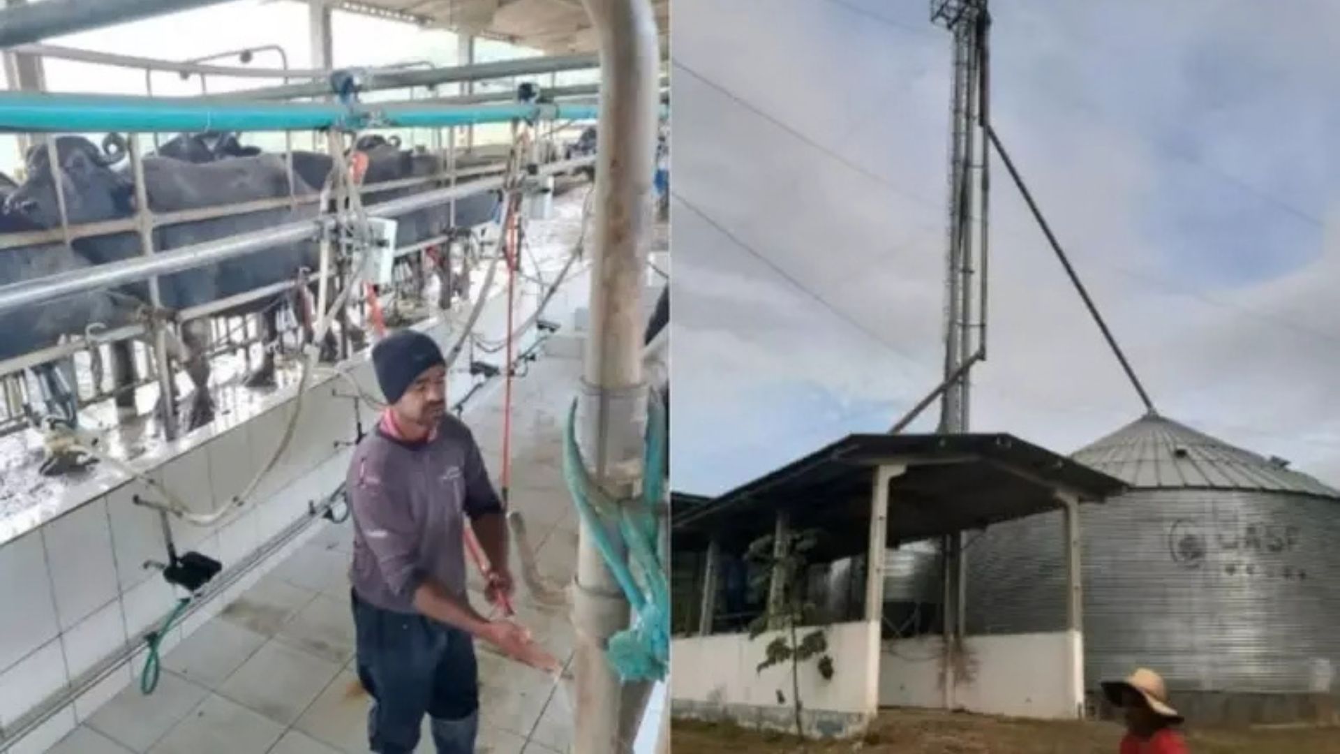 Divulgação/Casa Morumbi Imóveis