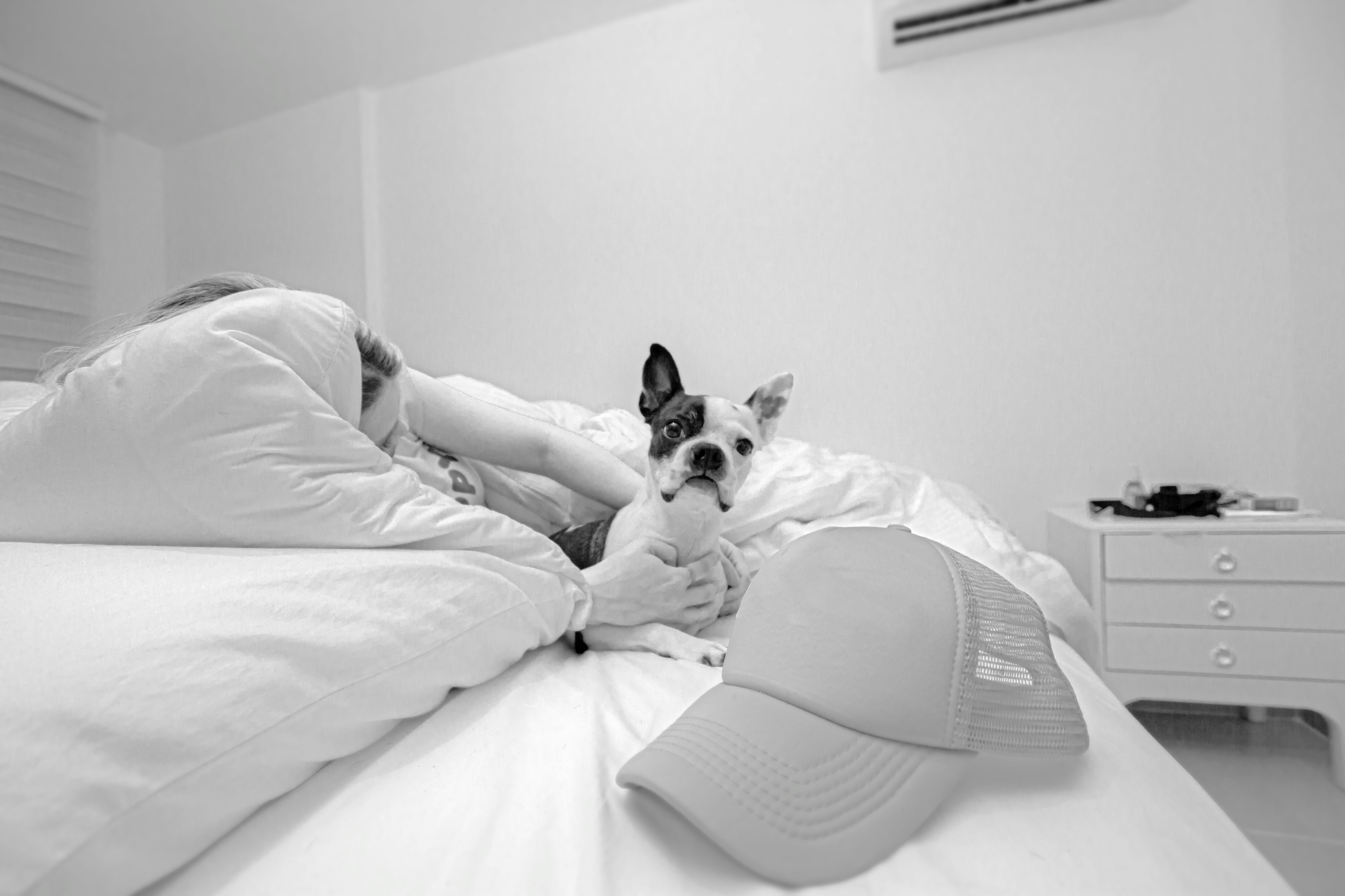 Estudo indica que humanos podem acordar os próprios cães durante a noite - Foto: Unsplash | Ilustrativa