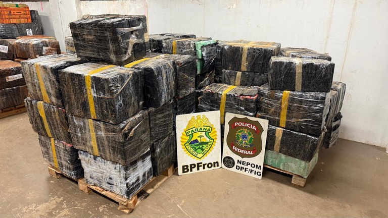Diligências envolveram equipes da PF e PM