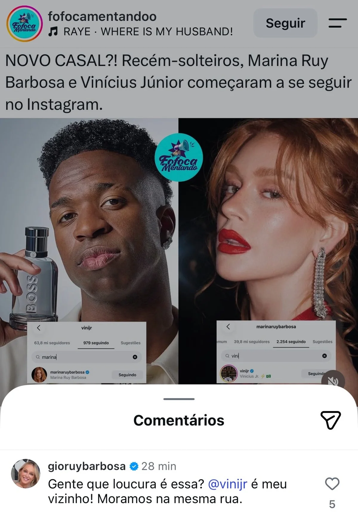 COMENTARIO