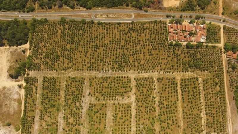 Casas da Vila dos Pescadores, ao alto do lado direito / Crédito: Divulgação