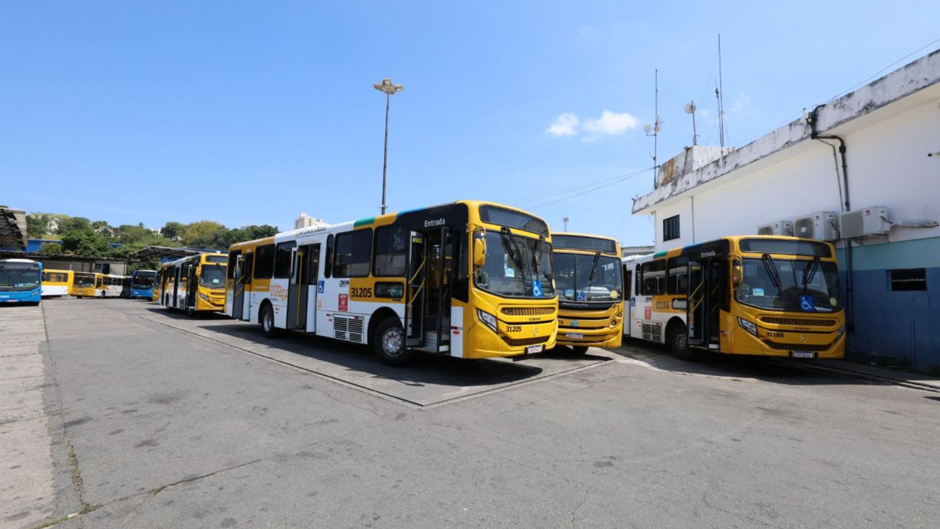 Procon identifica mais de 900 ônibus parados em garagens de Salvador (Foto: Manu Dias/GOVBA)