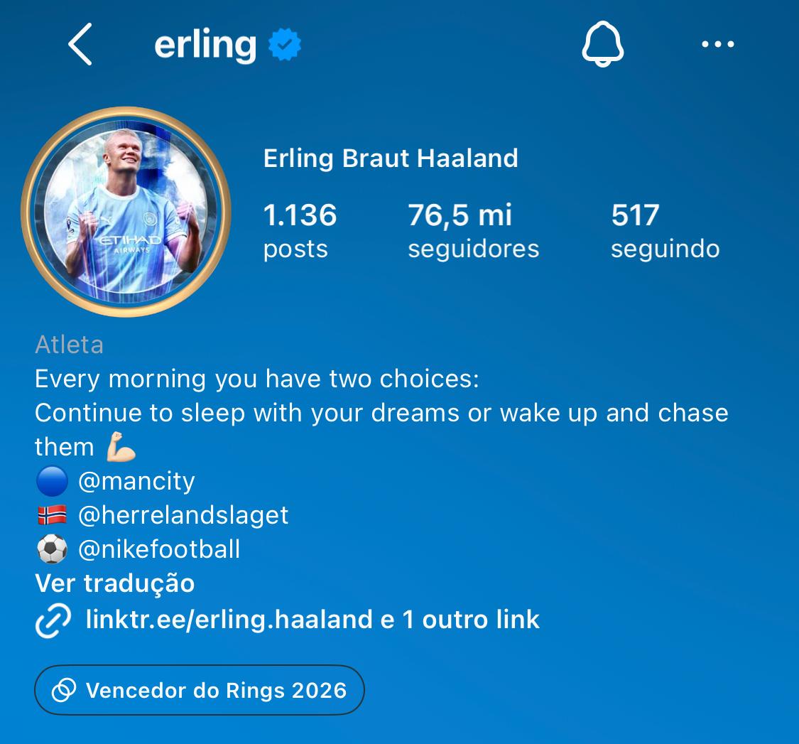perfil haaland