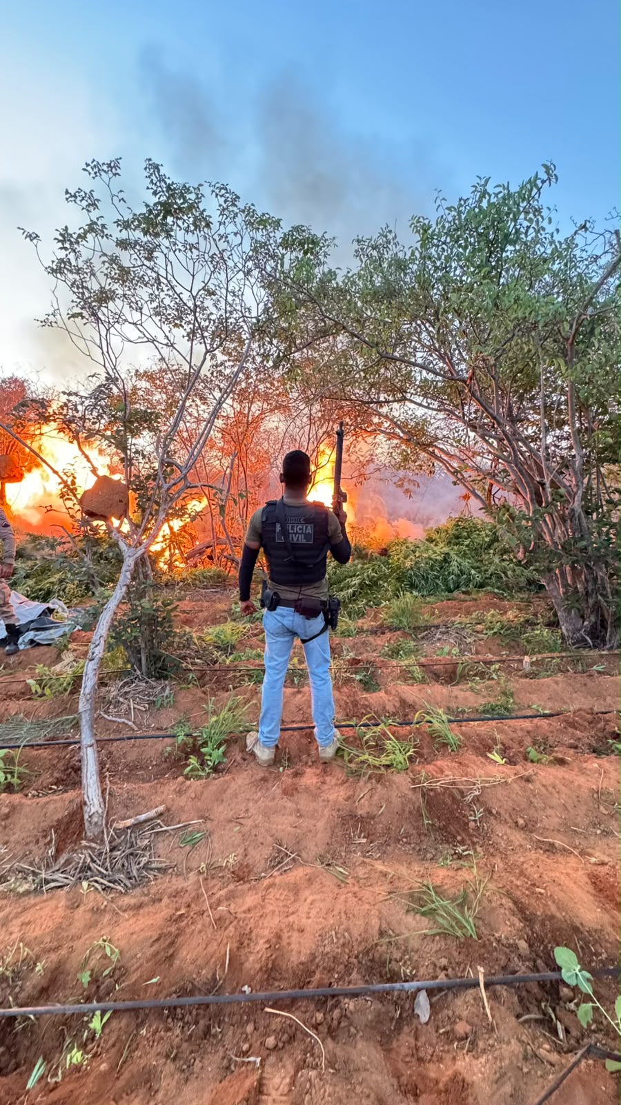 Imagens: Divulgação SSP