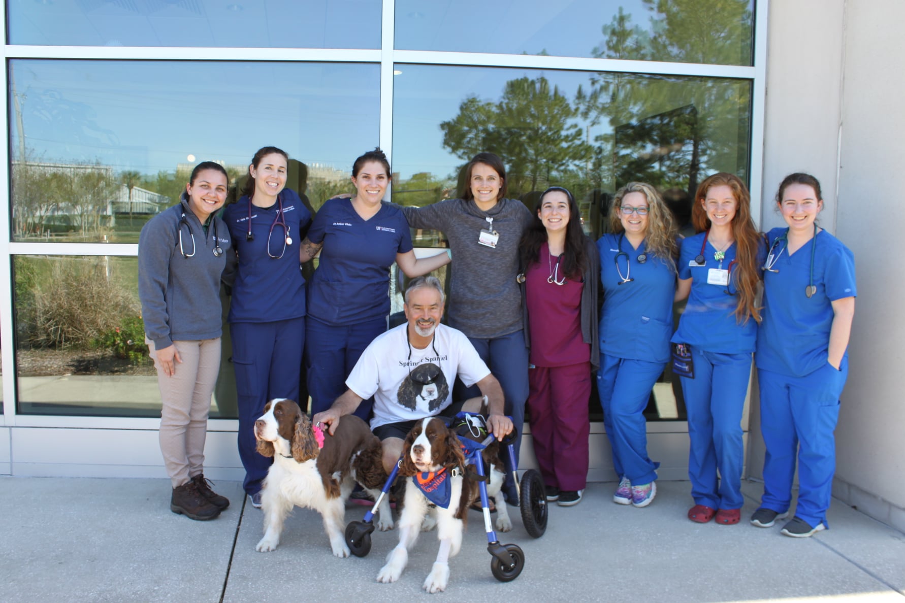 Curado de doença, cão ganha surpresa emocionante de equipe médica