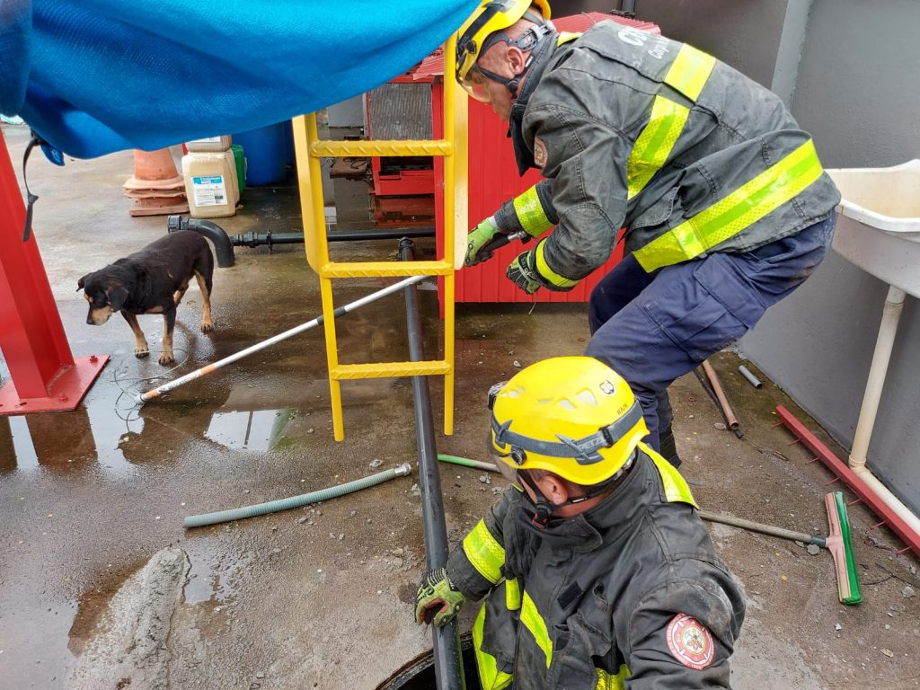 Cão é resgatado por bombeiros depois de cair em tanques de diesel