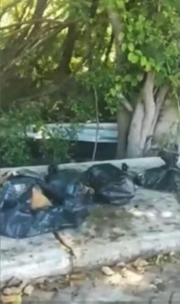 Animais são abandonados em sacos pretos dentro de condomínio